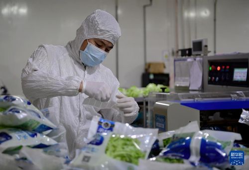 探访大型无人植物工厂 通信技术驱动农业革新