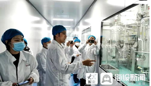 石药集团烟台生物医药高科技产业园 打造全国最大生物医药产业化基地，融合通信技术开发新动能