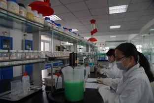 怀远创新潮涌 工业领航通信技术开发
