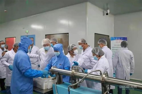 科技赋能“植物造肉” 中国首条高水分植物蛋白素肉生产线落户方正，重构未来食品产业版图