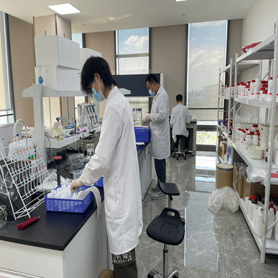 甘氨酸缓冲液(0.5mol/L, pH 2.2-10.6) 在生物技术研发中的应用与配置